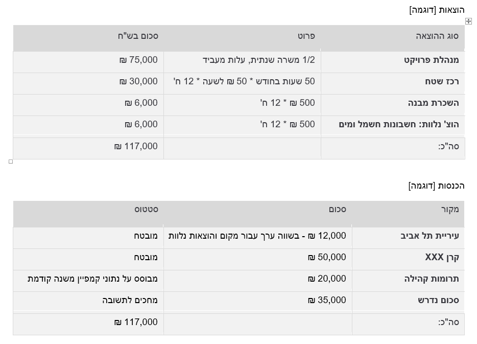 תקציב פרויקט לדוגמה